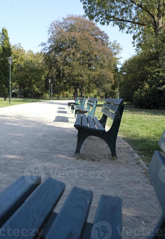 leere Parkbänke in Düsseldorf an einem sonnigen Tag foto