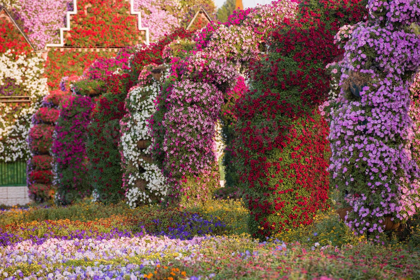 Dubai Wundergarten foto