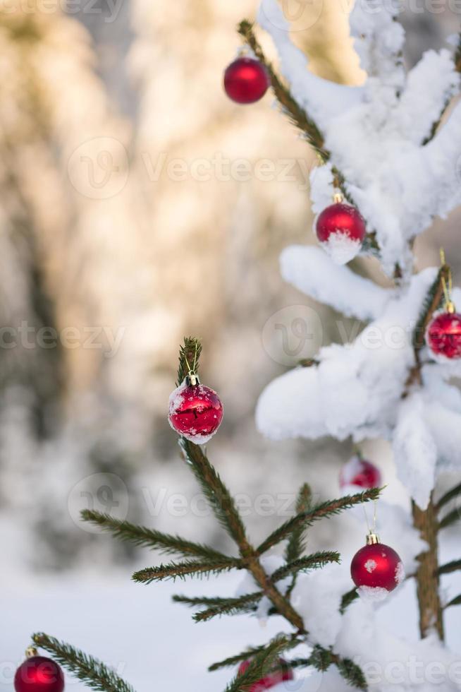 Weihnachtskugeln auf Kiefer foto