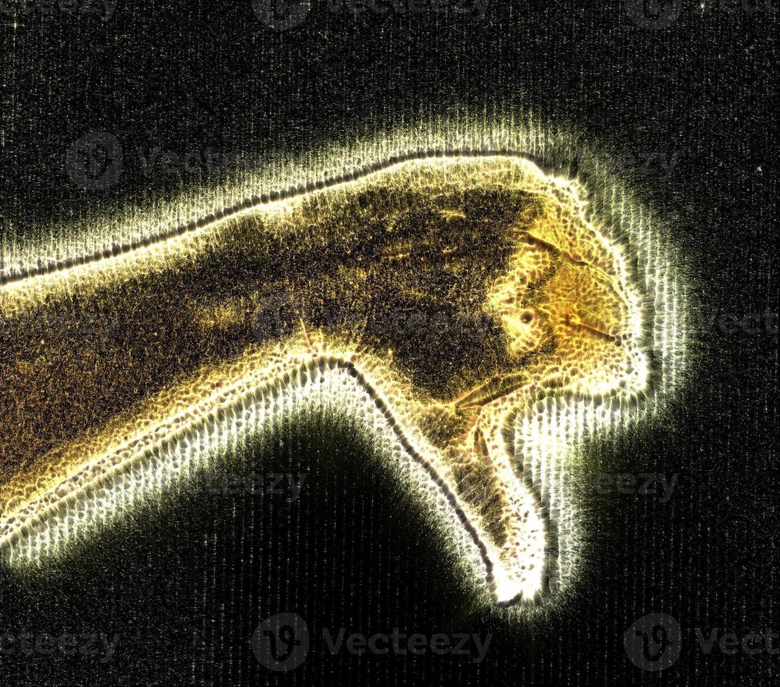 3D-Darstellung einer leuchtenden menschlichen weiblichen Hand mit einer Kirlianaura, die verschiedene Symbole zeigt foto