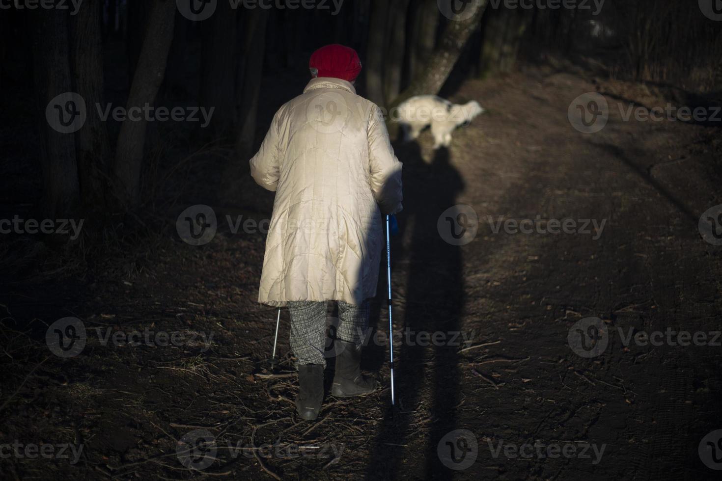 Eine Frau beschäftigt sich mit speziellem Gehen mit Stöcken. foto