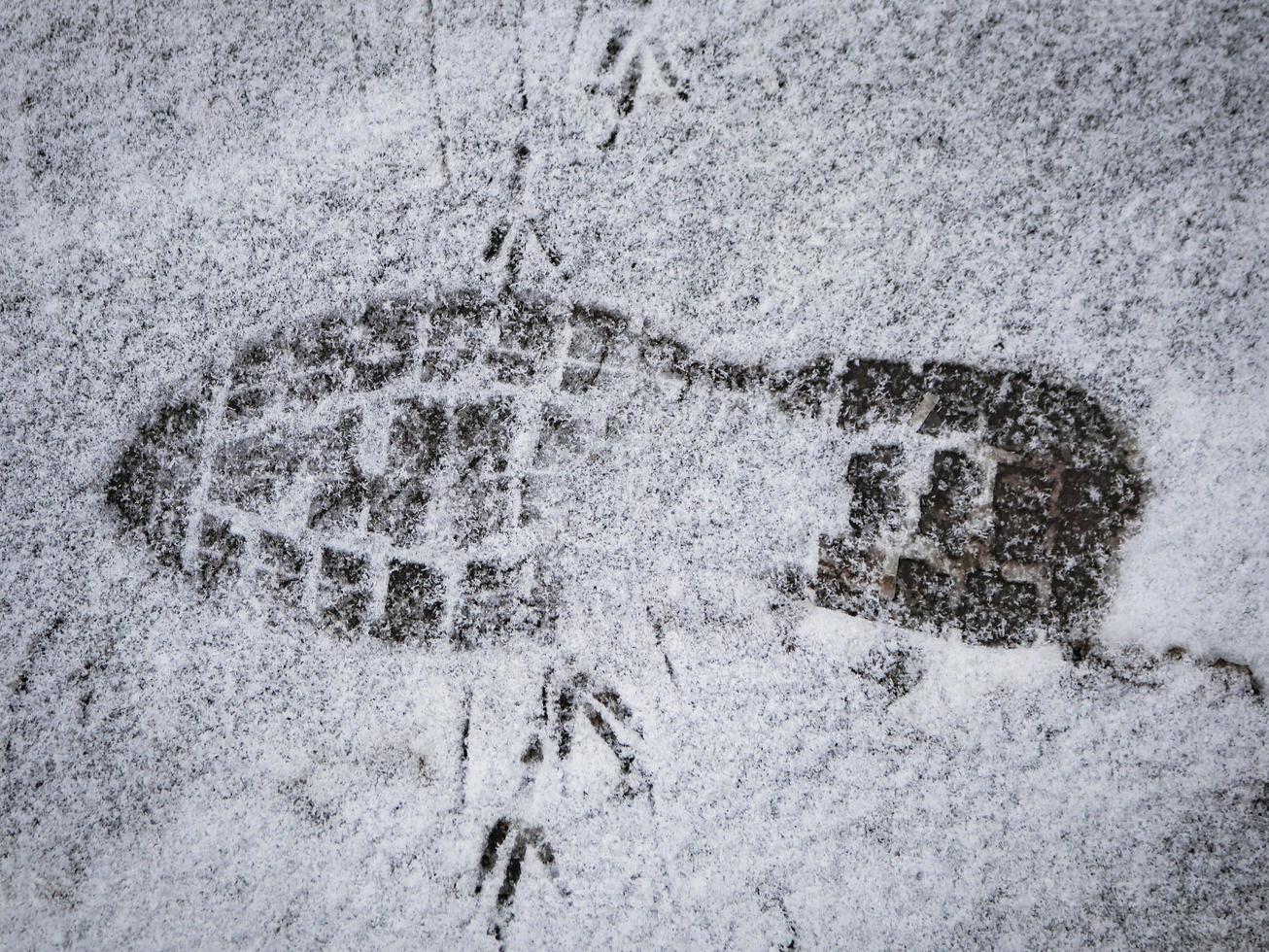 ein Schritt auf leichtem, frischem, krümeligem Schnee mit vielen Vogelspuren foto