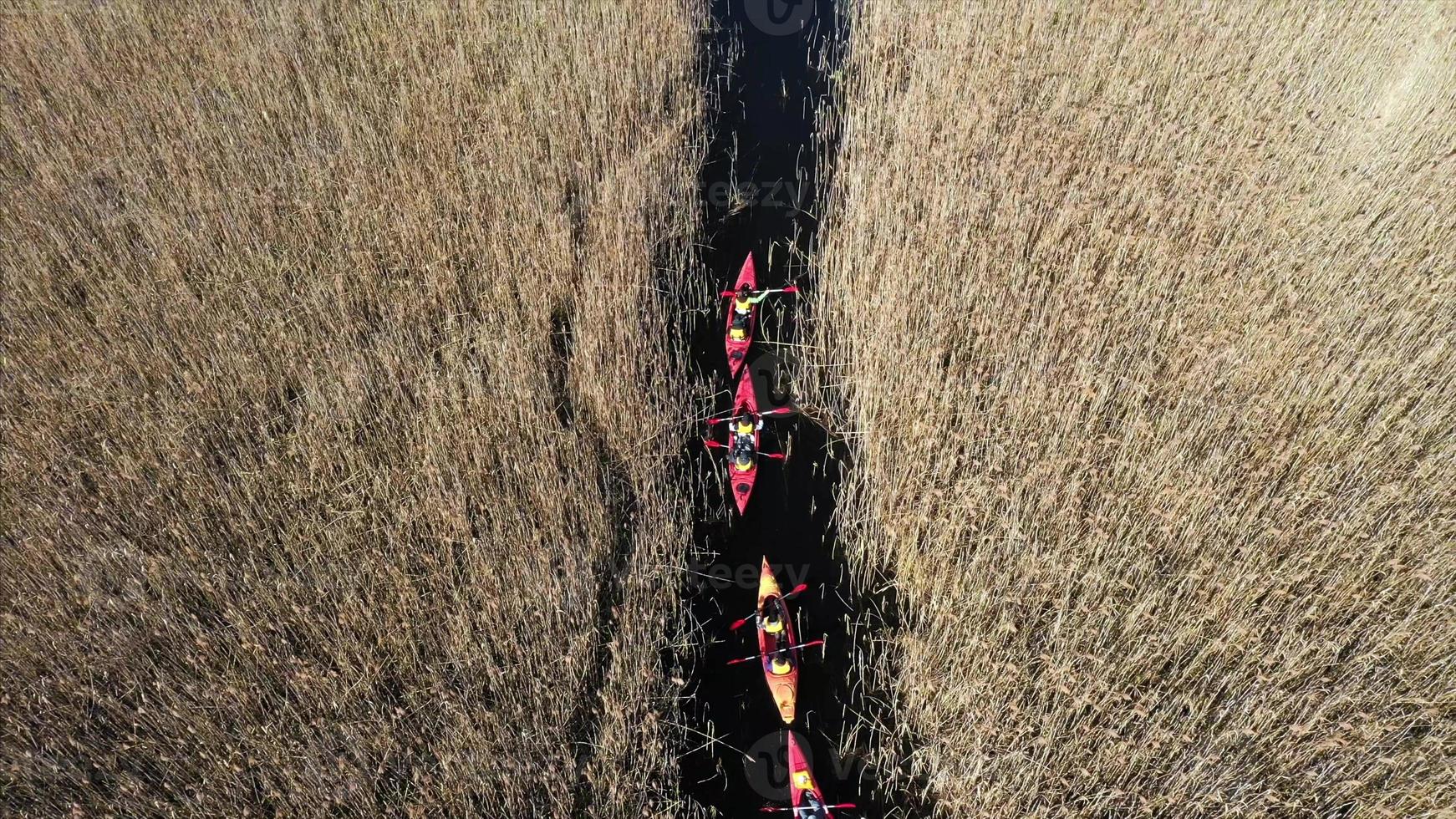 Gruppe von Menschen in Kajaks zwischen Schilf am Herbstfluss. foto