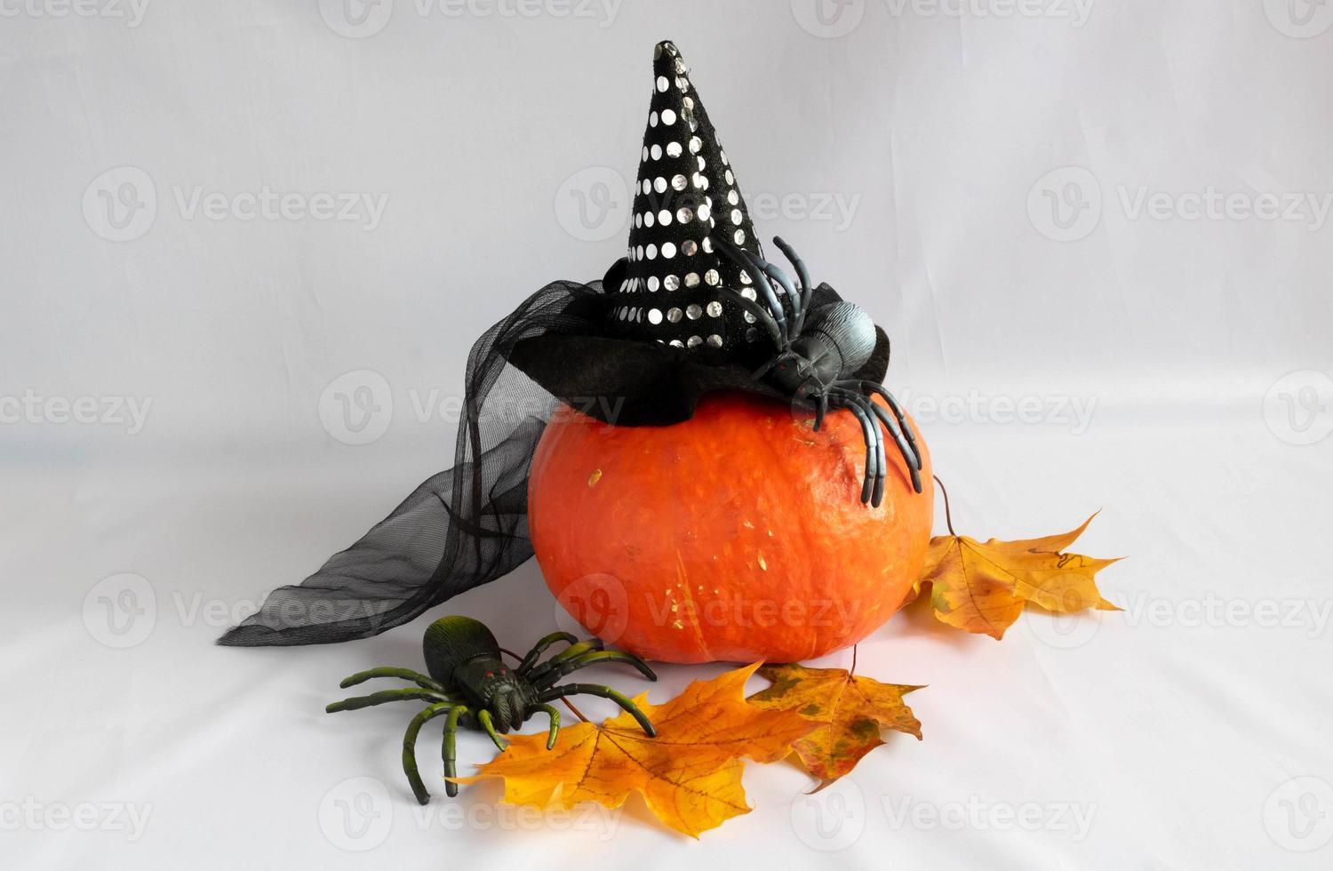 ein orangefarbener Kürbis mit Hexenhut, Ahornblätter und zwei Spinnen. Halloween-Konzept foto