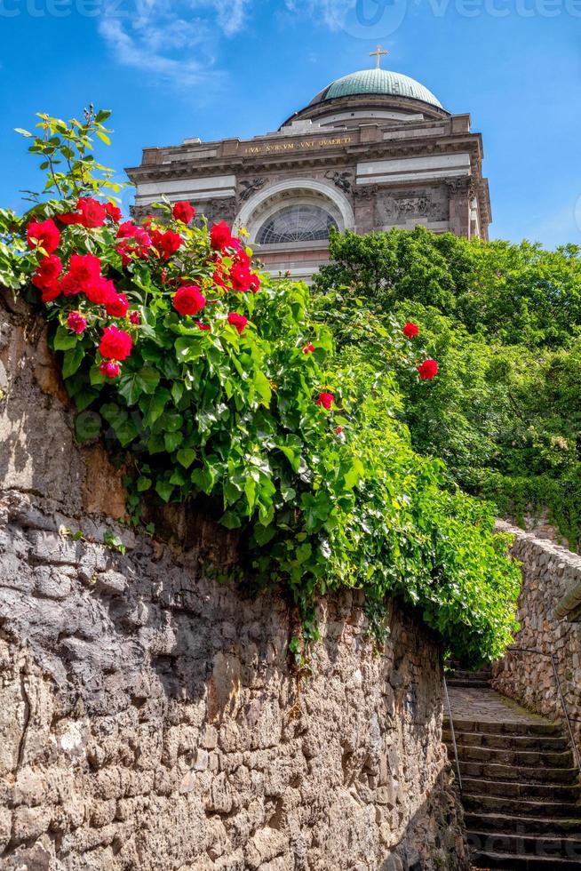 Katzentreppe zur Basilika von Esztergom in Ungarn foto