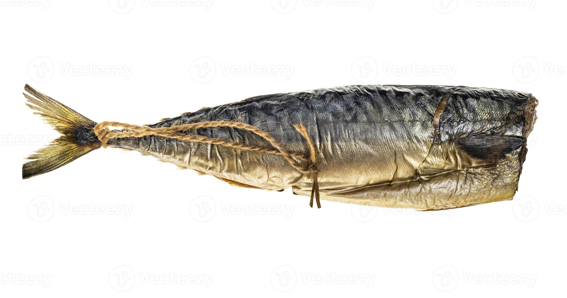 heiß geräucherte Makrele ohne Kopf mit Seil isoliert foto