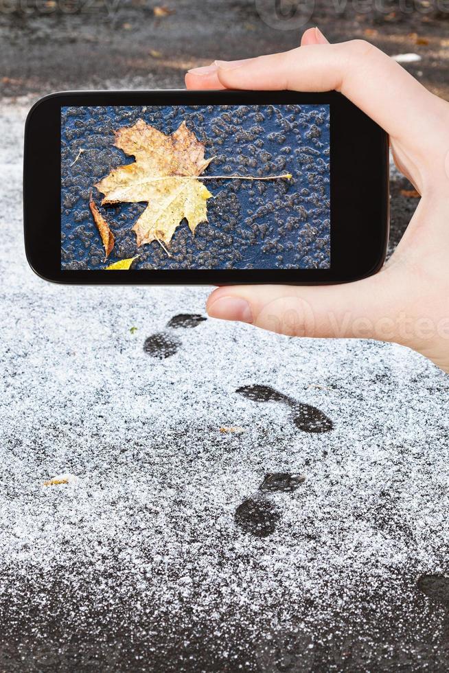 Bild von gefrorenem Laub im ersten Schnee foto