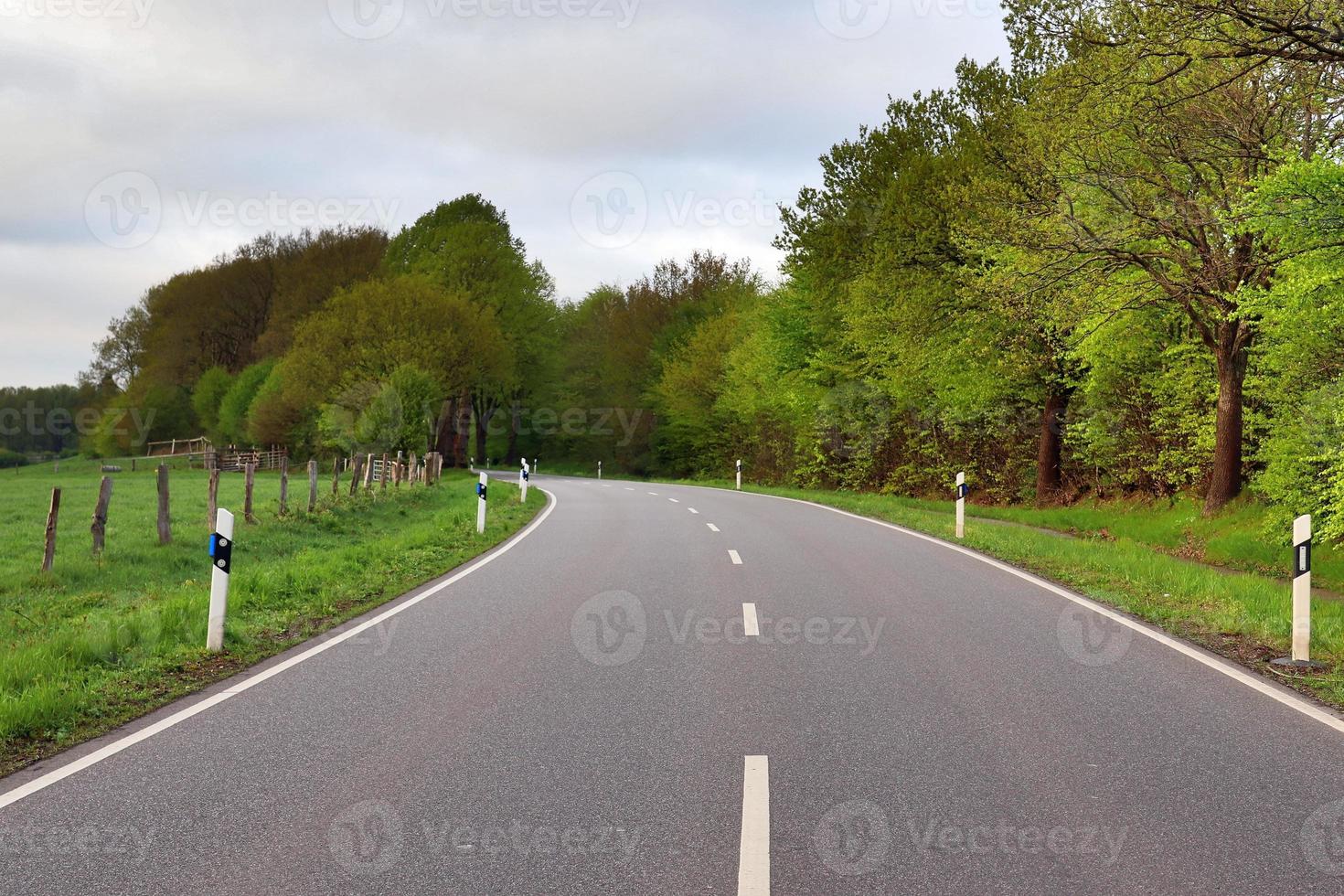 schöne aussicht auf landstraßen mit feldern und bäumen in nordeuropa foto