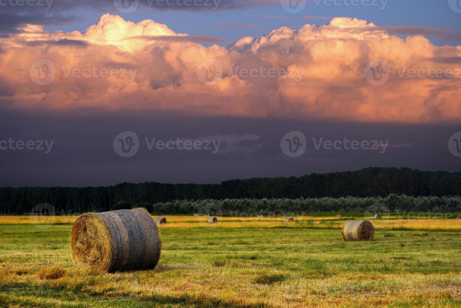 Heuballen auf dem Feld nach der Ernte, Ungarn foto