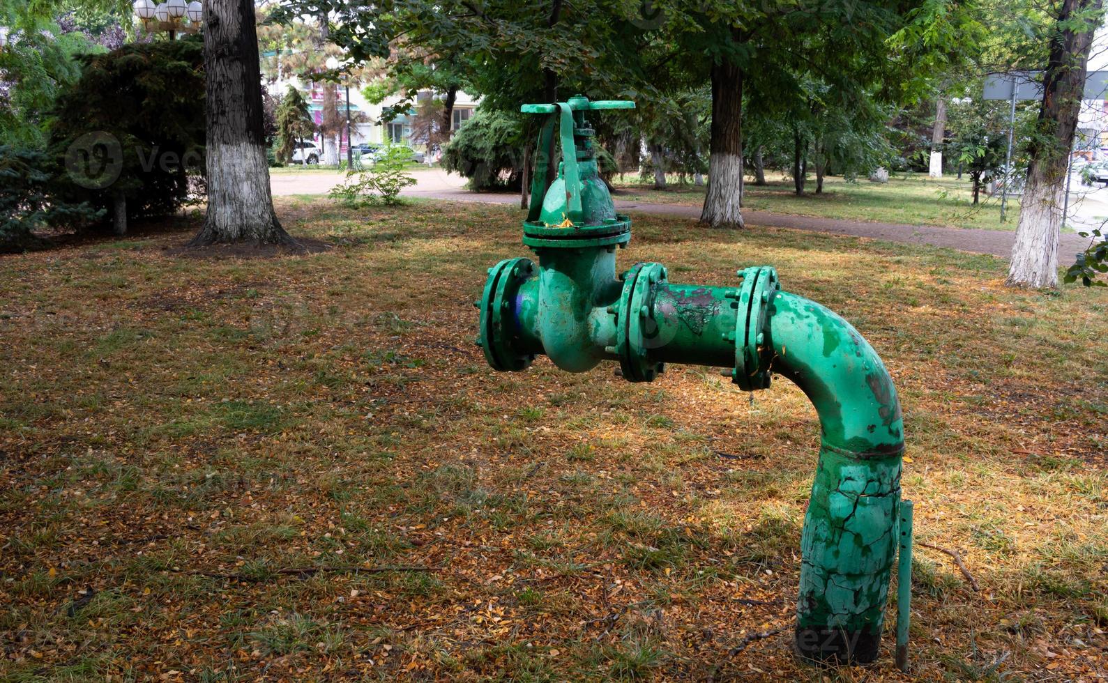 In einem öffentlichen Park steht eine dicke grüne Wasserleitung mit Ventil foto