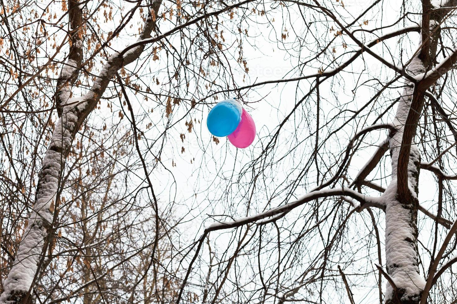 zwei Ballons in Ästen von Bäumen im Winter foto