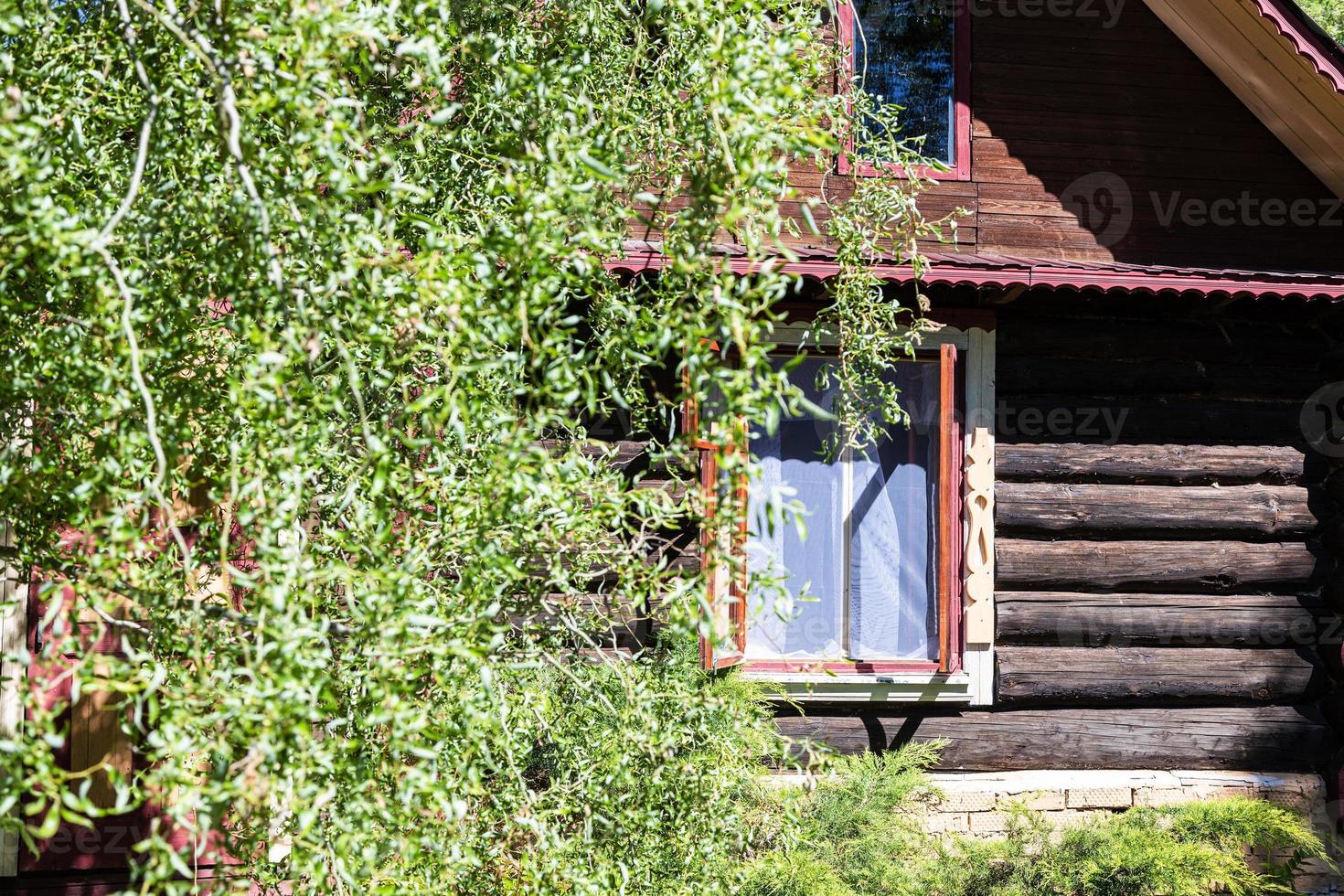 Fassade des Holzhauses mit Fenster hinter Laub foto