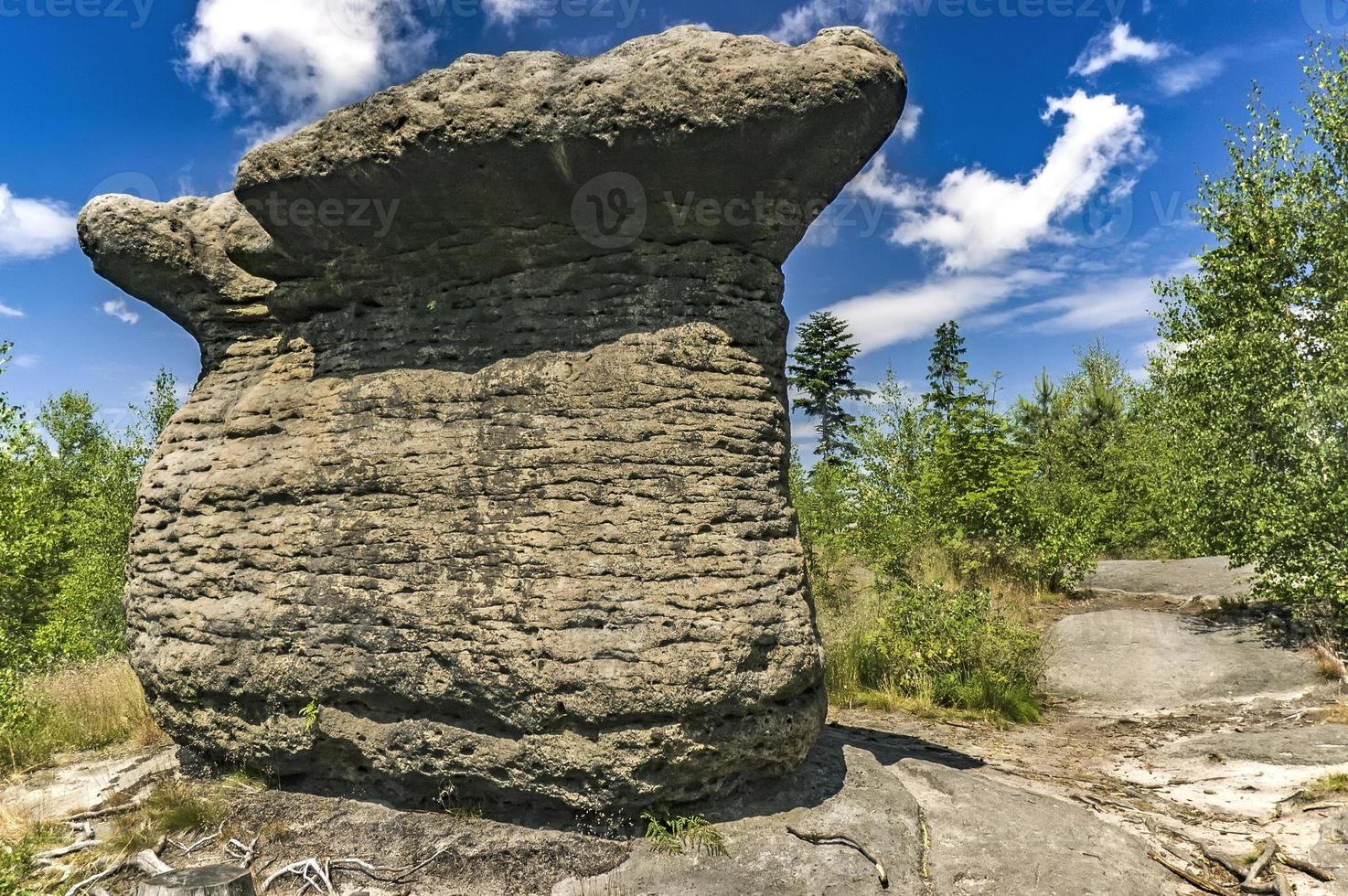 Steinpilz aus Tschechien foto