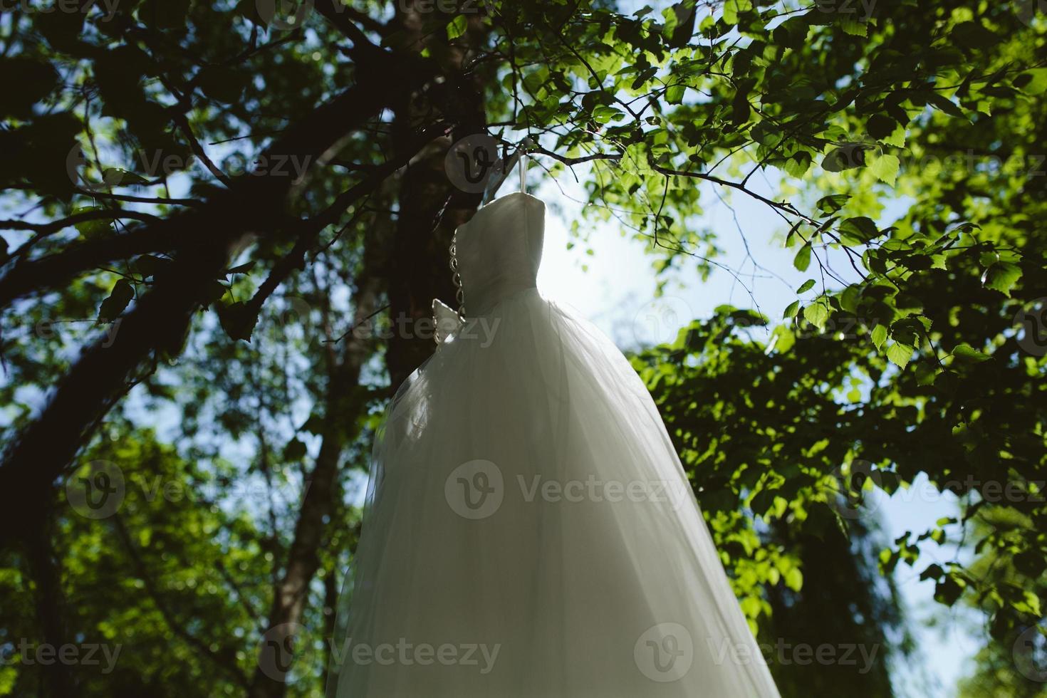 Hochzeitskleid, das an einem Baum hängt foto