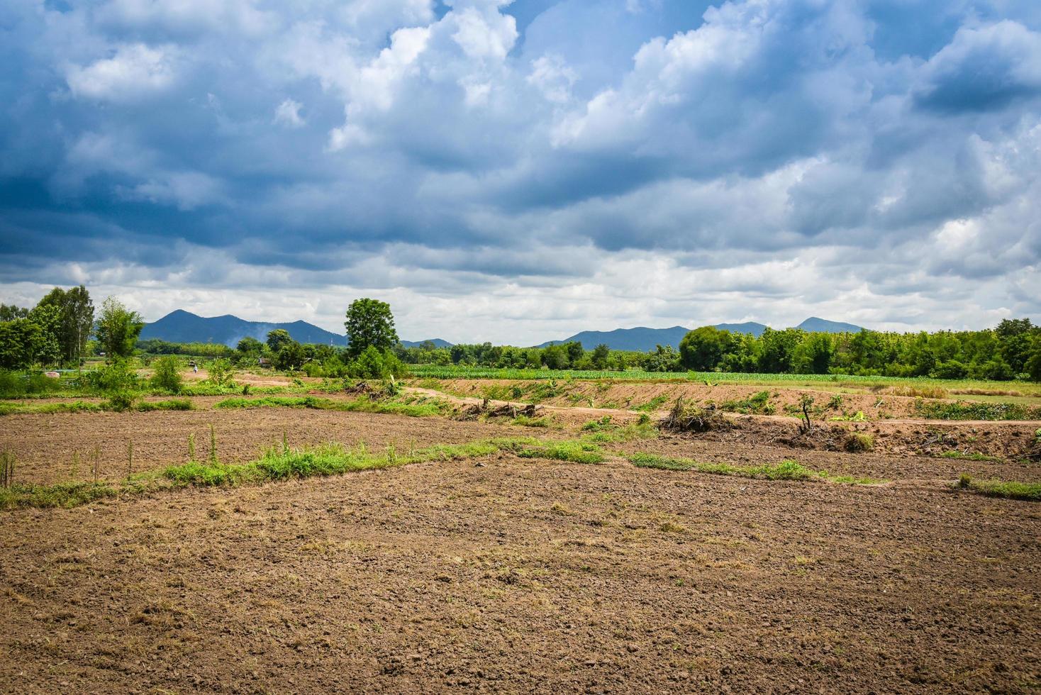 Bereiten Sie die Bodenbewirtschaftung in landwirtschaftlichen Gebieten vor, die auf die Regenzeit zum Pflanzen warten foto