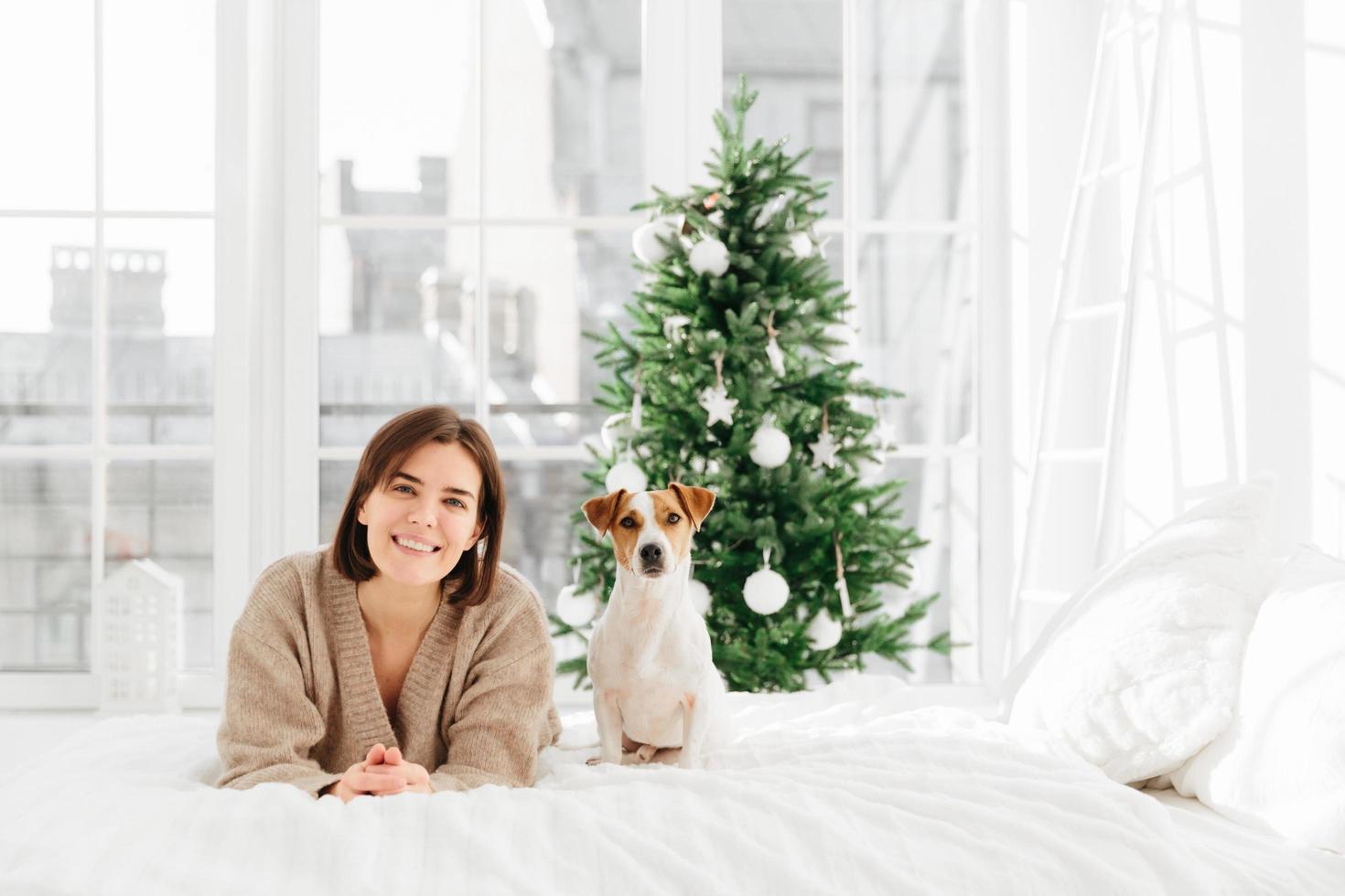 Foto einer glücklichen jungen Frau und eines Rassehundes warten zusammen auf das neue Jahr, posieren zu Hause im Schlafzimmer mit weißen Wänden, großen Fenstern, genießen den Komfort auf dem Bett, Weihnachtsbaum im Hintergrund, lächeln in die Kamera