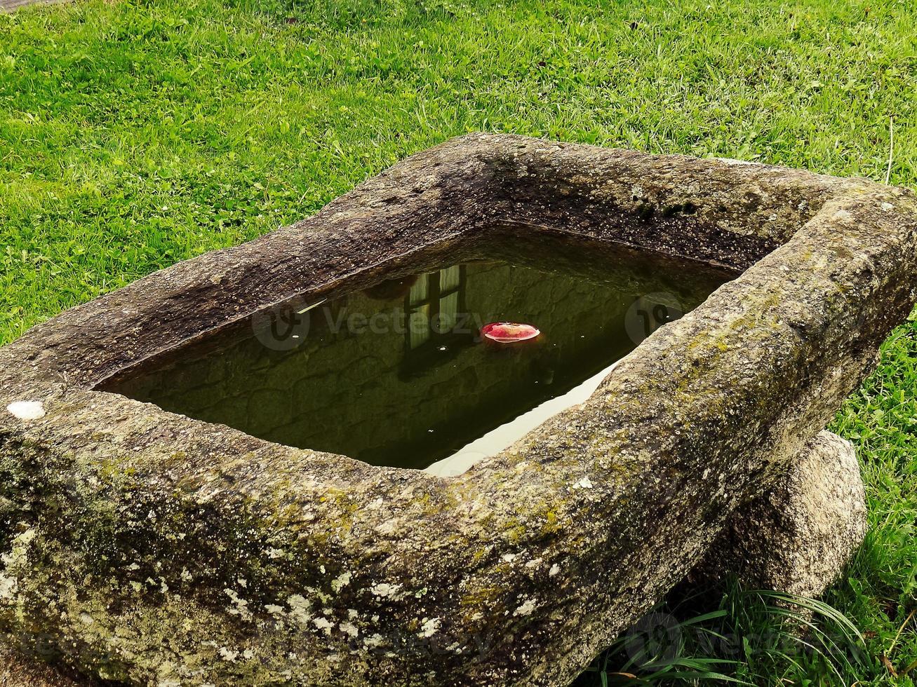 Apfel im Wasser foto