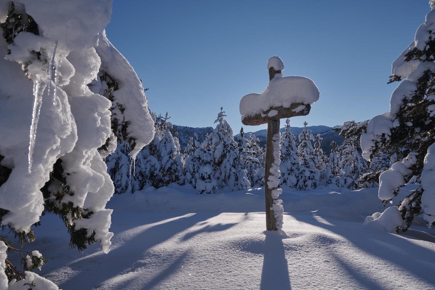 Winterschnee Hintergrund foto