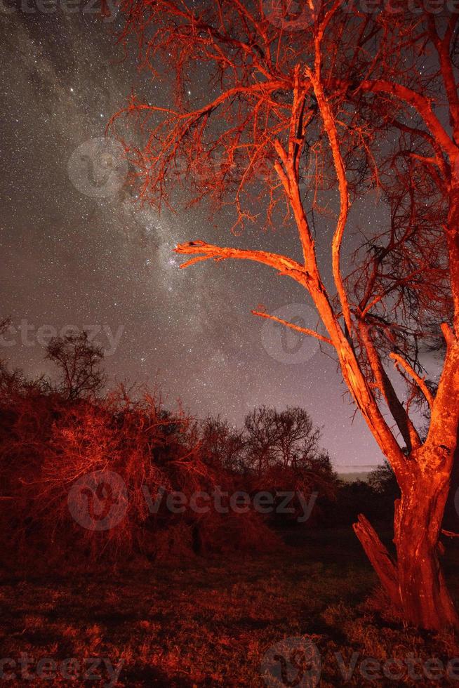 südafrikanische Sternenlandschaft, baviaanskloof Naturschutzgebiet foto