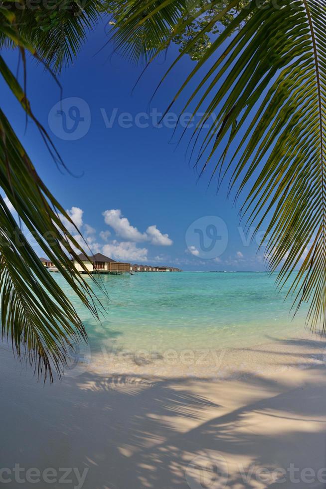 Blick auf den tropischen Strand foto