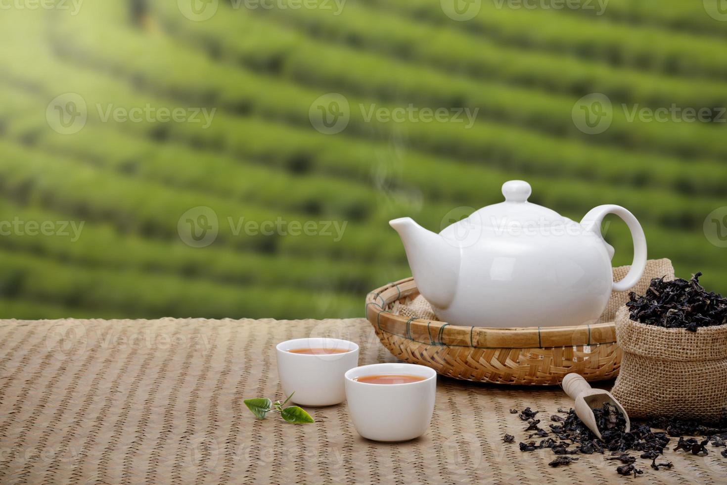 warme tasse tee mit teekanne, grünen teeblättern und getrockneten kräutern auf der bambusmatte am morgen im plantagenhintergrund mit leerem raum, organisches produkt aus der natur für gesund mit traditionell foto