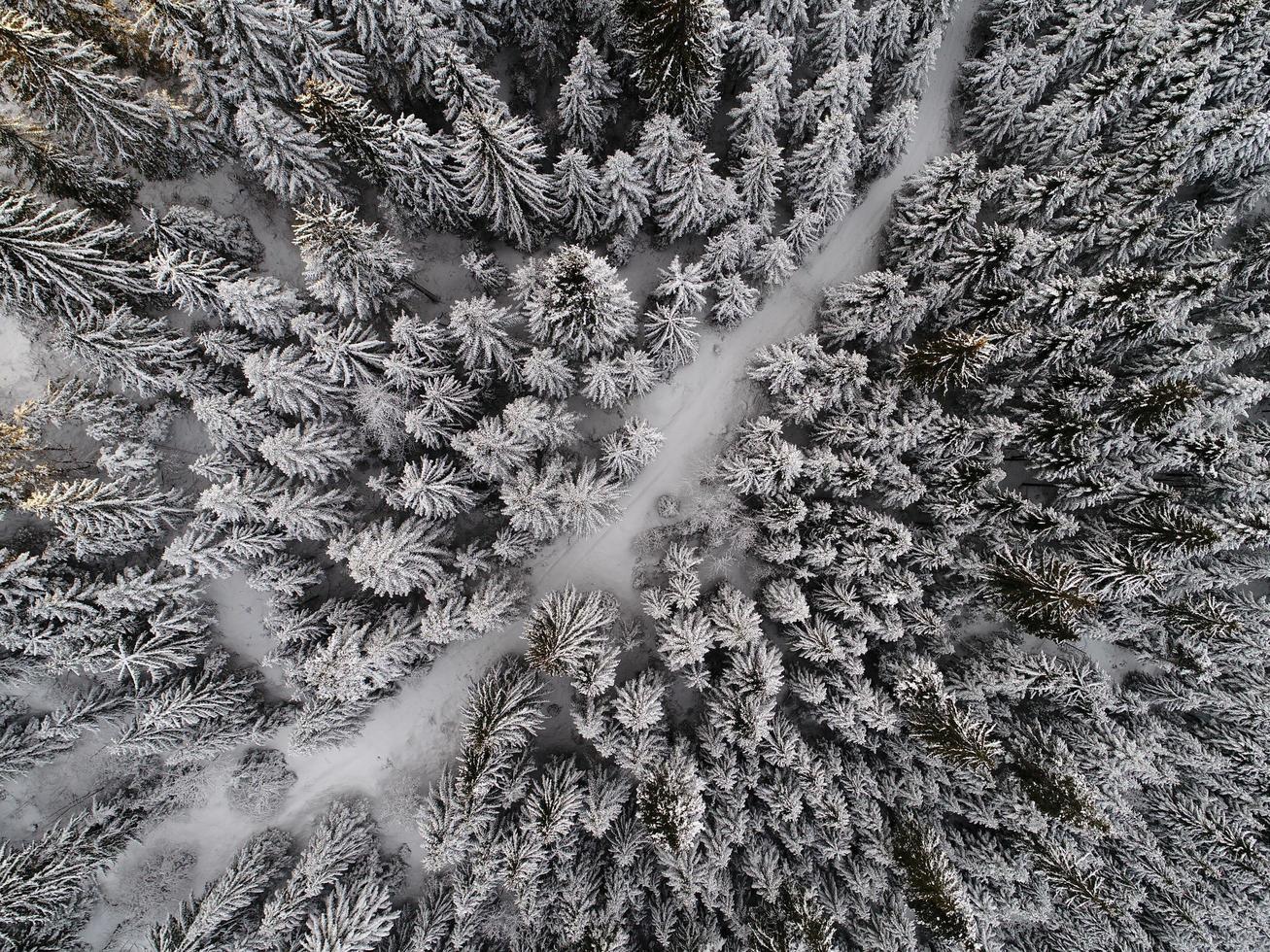 Blick auf die Winterlandschaft foto