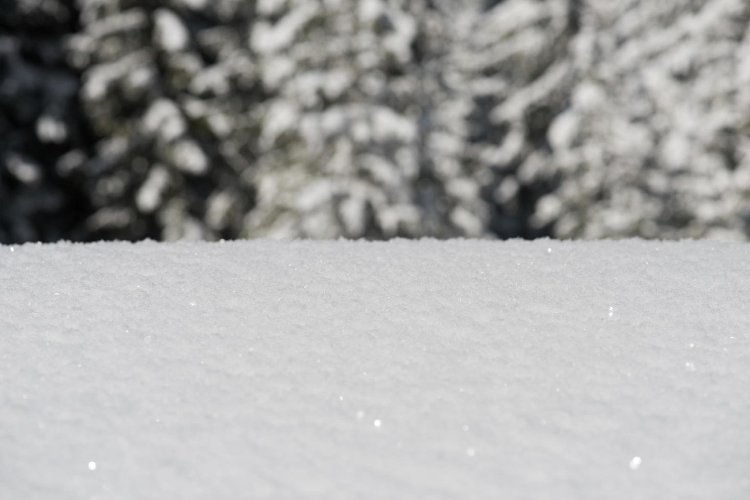 Winterschnee Hintergrund foto