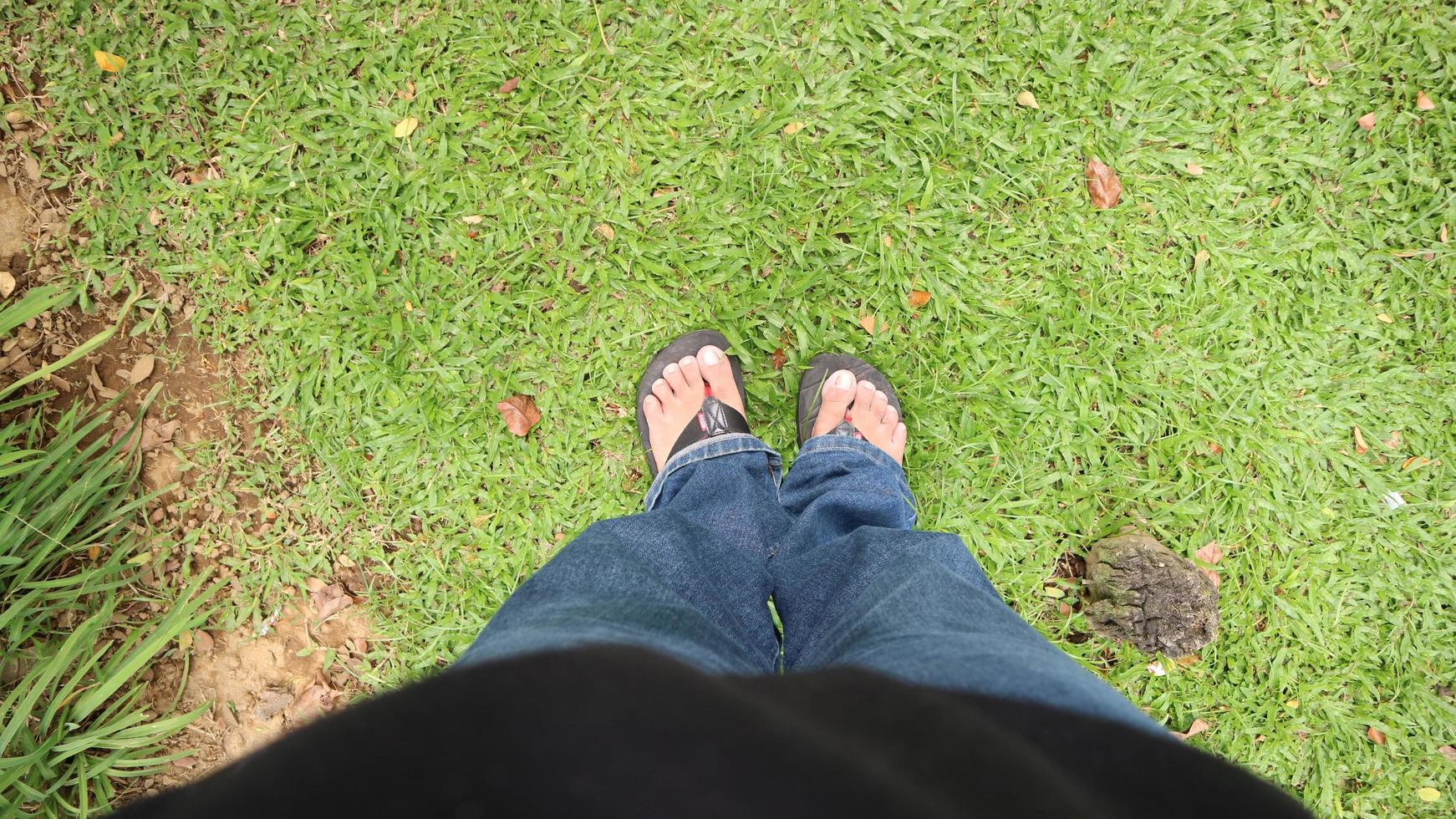 Entspannen Sie sich und ziehen Sie Ihre Sandalen auf dem grünen und frischen Gras aus foto