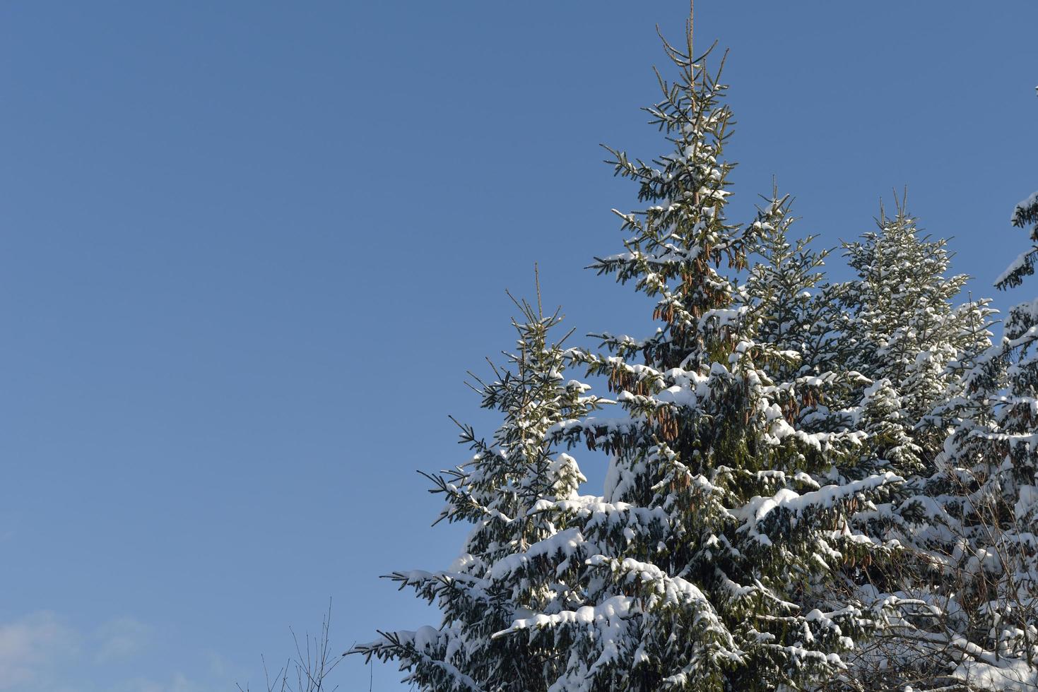 Winter Berglandschaft foto