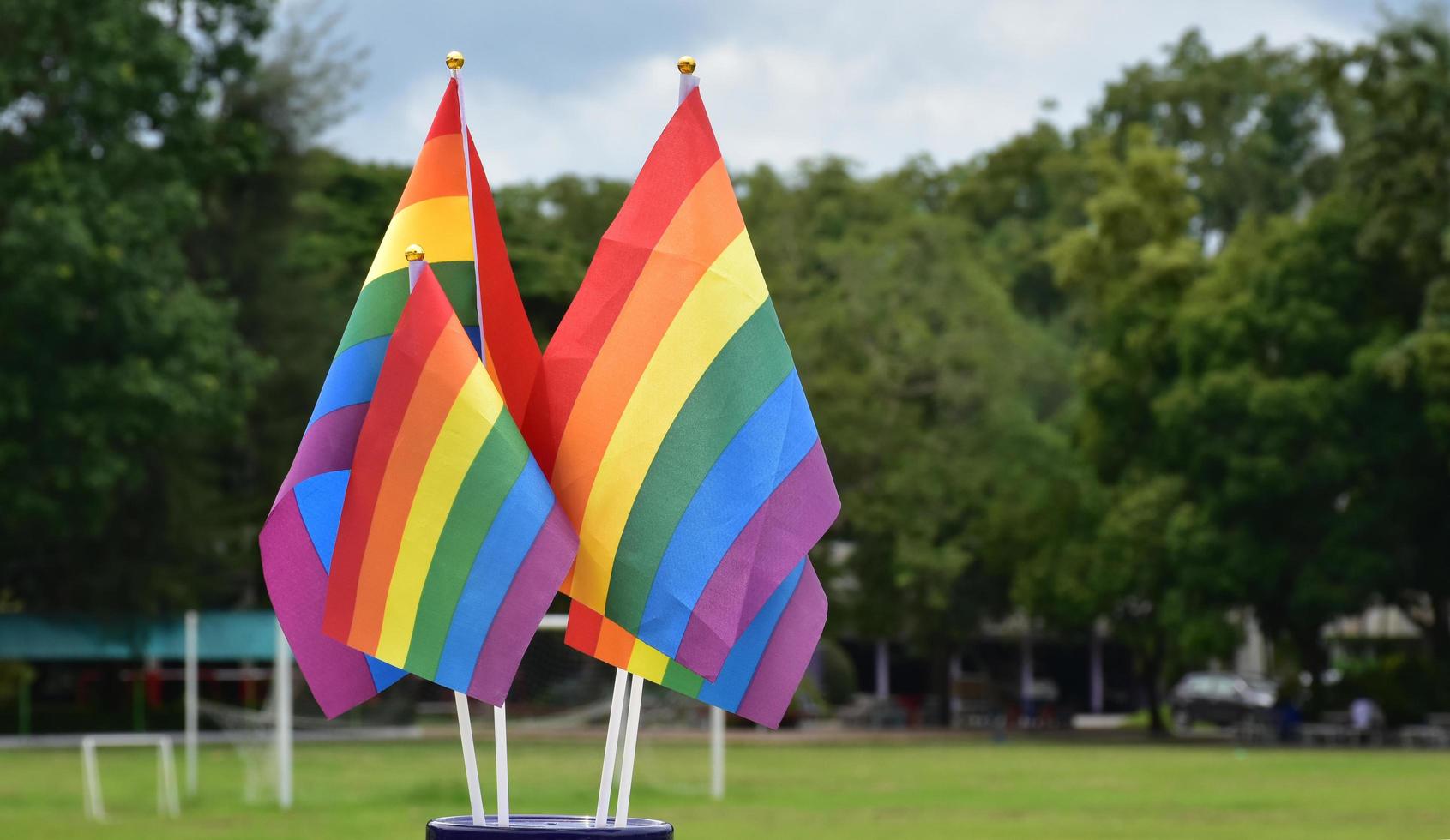 regenbogenfahnen, symbol der lgbt-geschlechtsvielfalt, die vor dem rasenplatz des schulspielplatzes gezeigt werden, verschwommener gebäudehintergrund, konzept für lgbt-feiern im stolzmonat juni auf der ganzen welt. foto