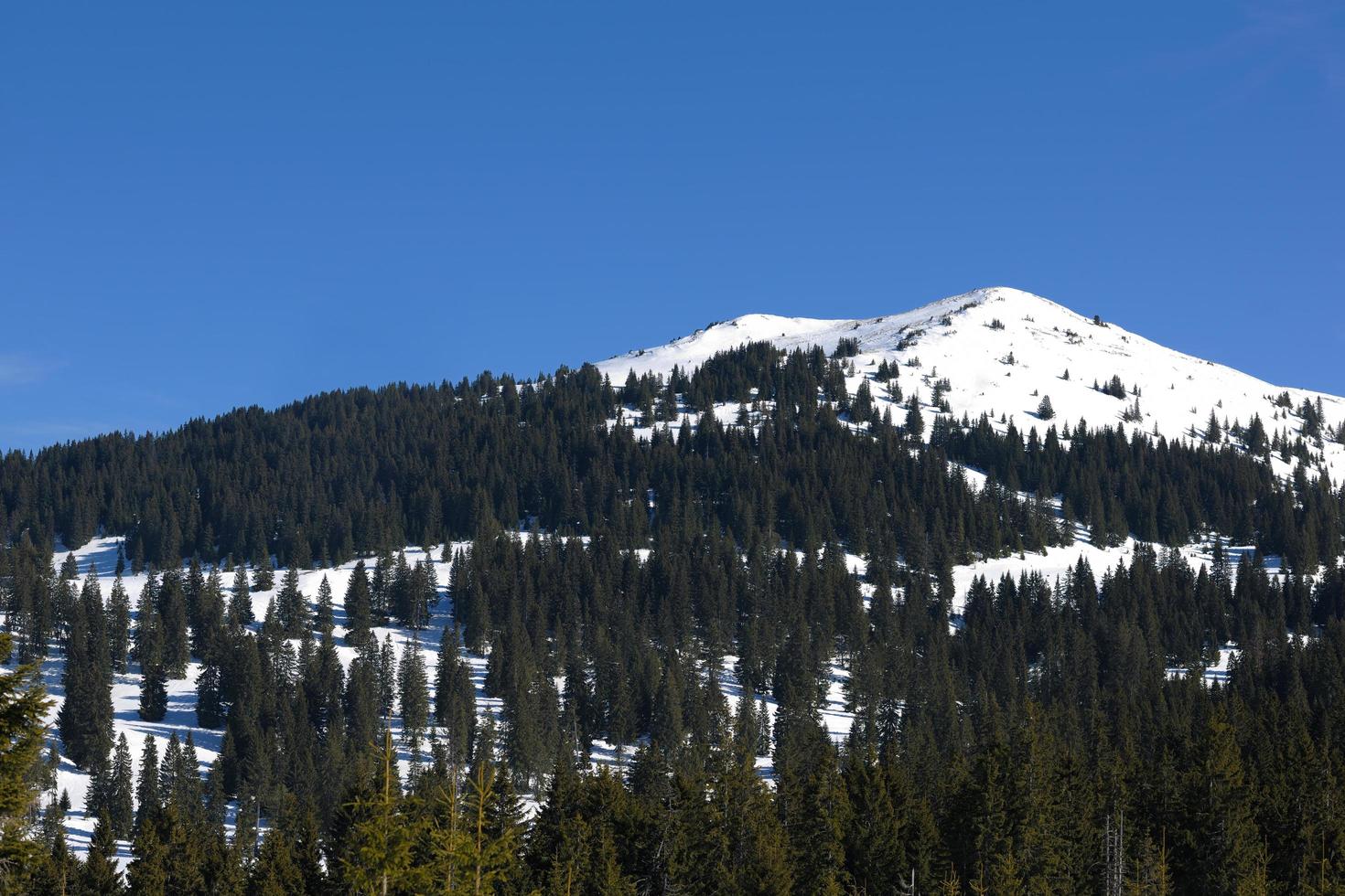 Blick auf die Winterberge foto