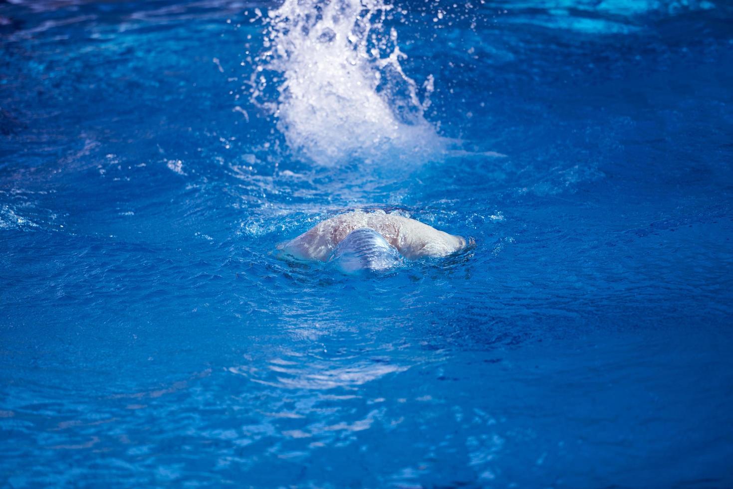 Schwimmerübung auf Hallenbad foto