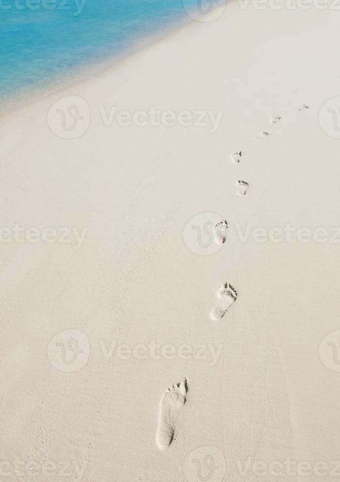 Blick auf den tropischen Strand foto