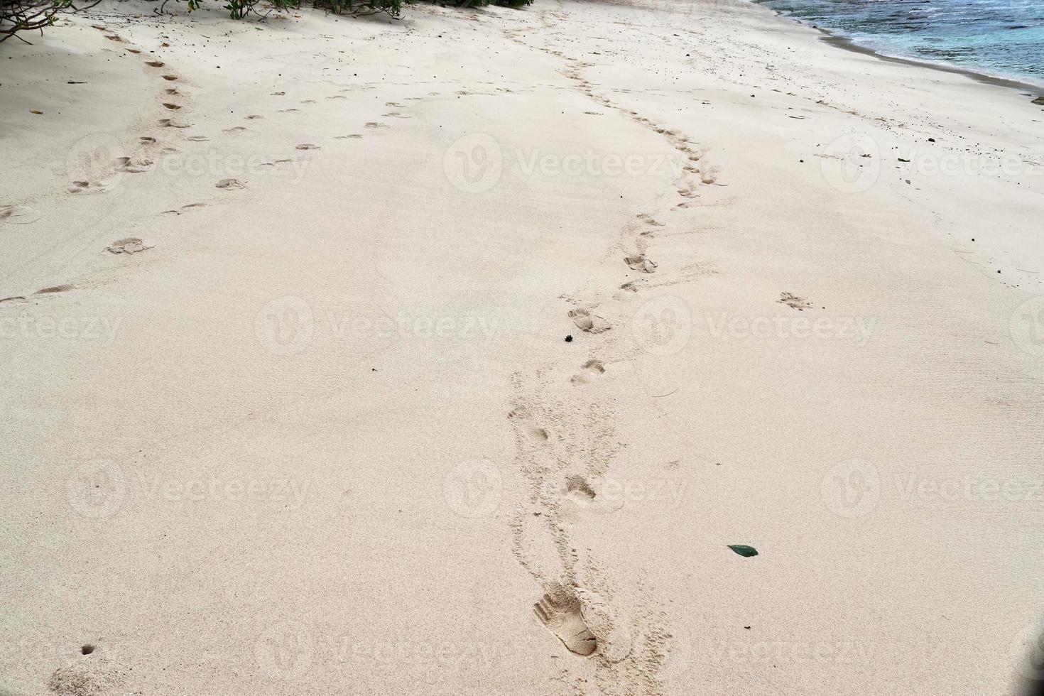 schöne aufnahmen des weißen strandsandes auf der paradiesinsel der seychellen mit fußspuren foto