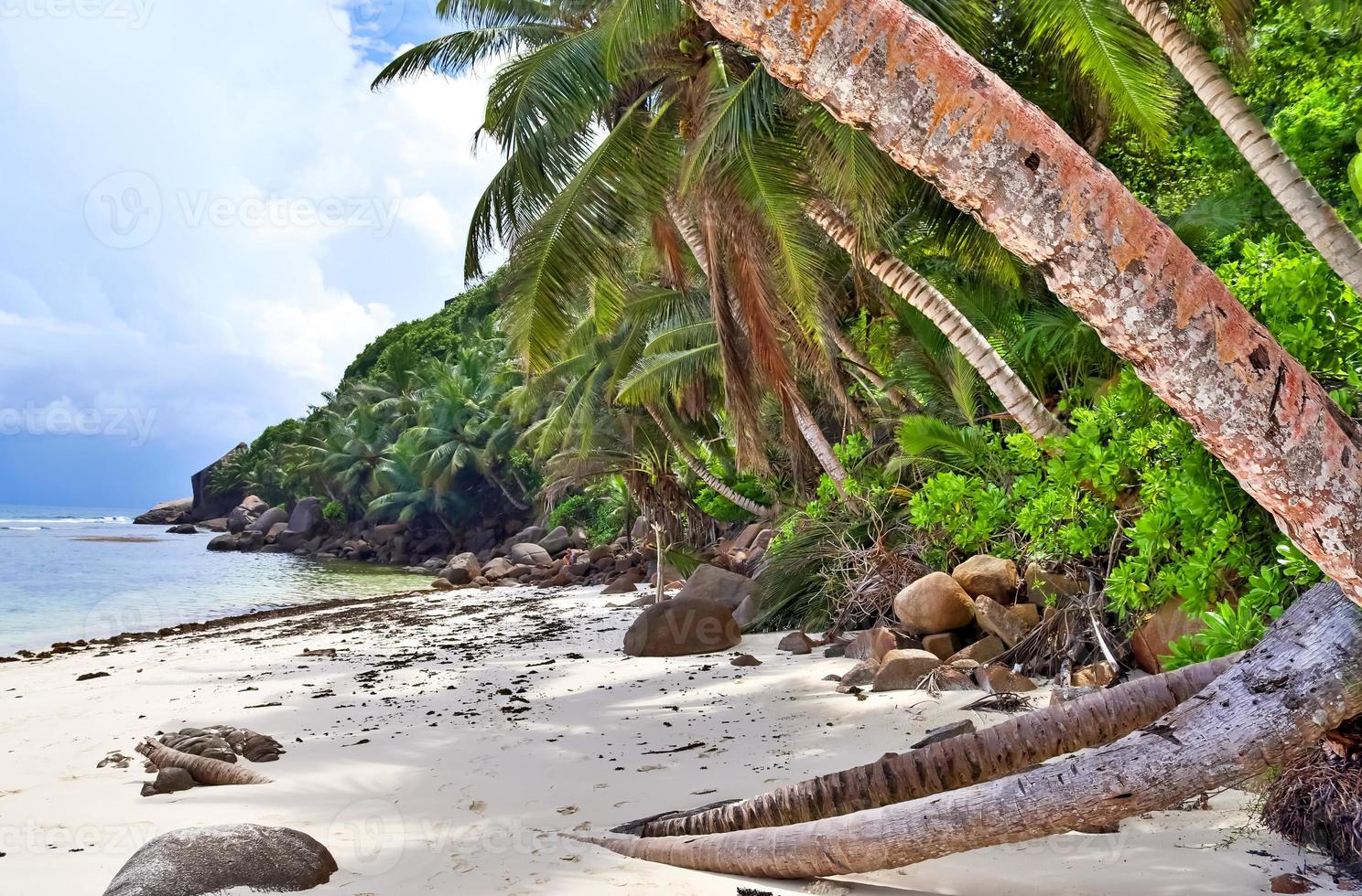 sonniger tag strandblick auf den paradiesischen inseln seychellen foto