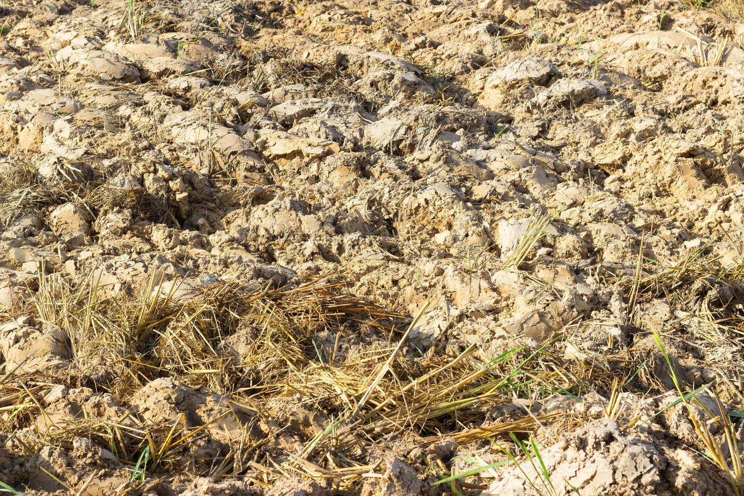 Textur des von einem Pflugfeld gepflügten Landes foto