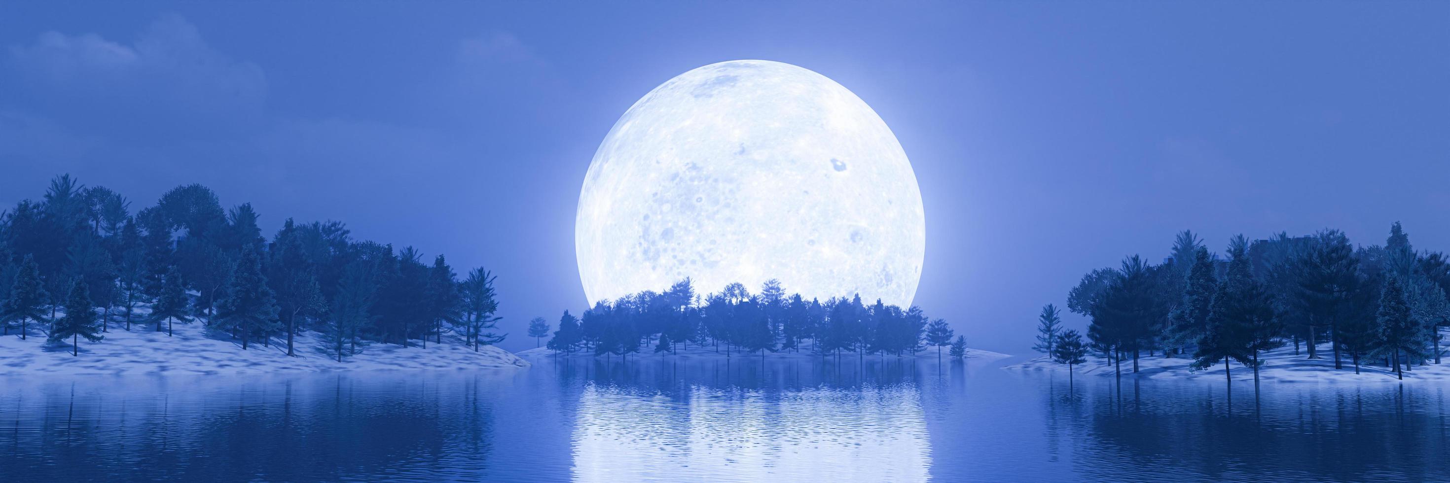 Super Vollmond blaues Licht. See, Kiefernwald, verschneiter Boden, im Wasser gespiegelter Mondschatten. Fantasy-Naturbild der aufgehenden Nacht. es gibt ein wenig nebel. 3D-Rendering foto