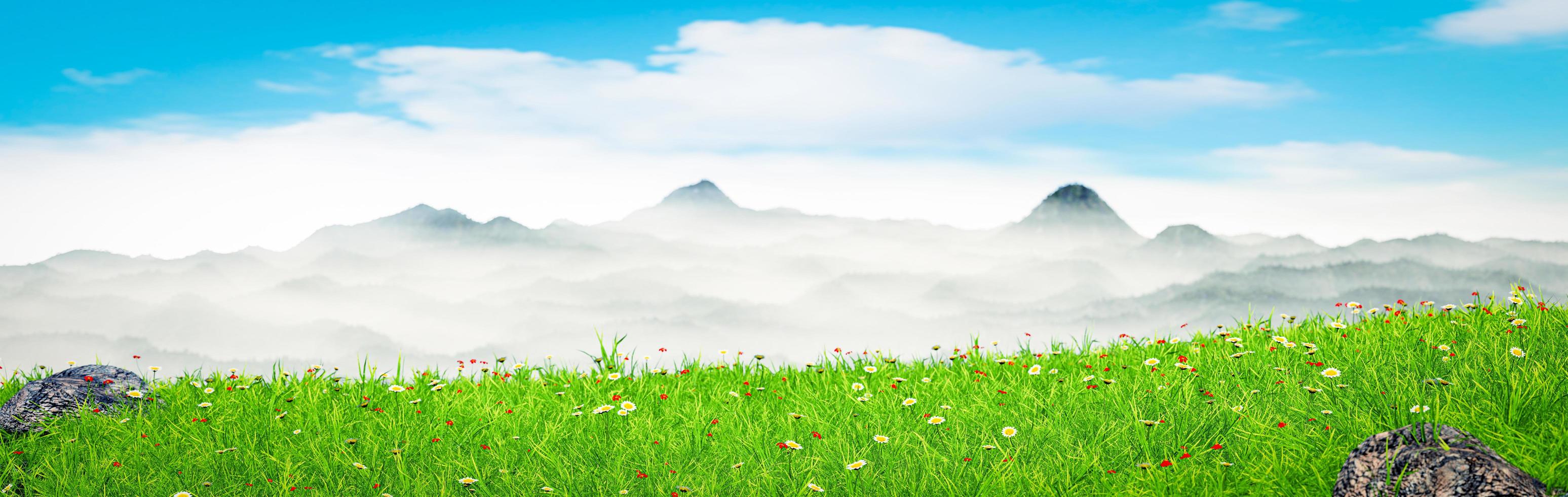 Hochgebirgslandschaften oder komplexe Berglandschaften. gelände wiese auf der bergkette morgens bedeckt nebel die spitze. 3D-Rendering foto