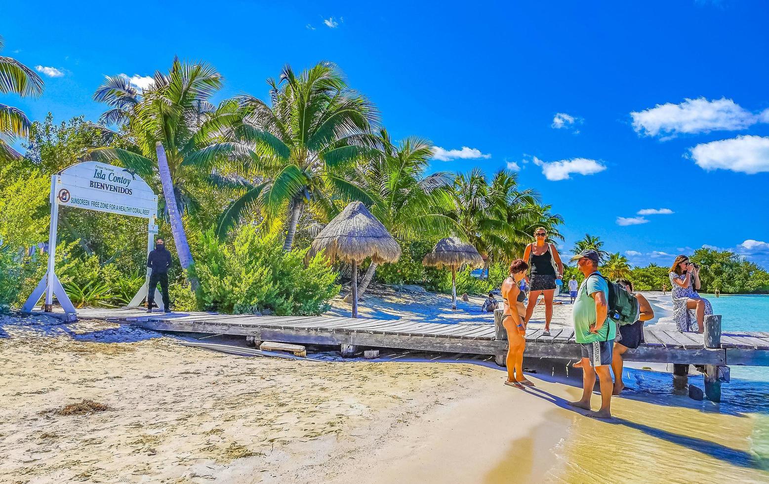 insel contoy quintana roo mexiko 2022 schöne tropische naturpalme bootssteg contoy insel mexiko. foto