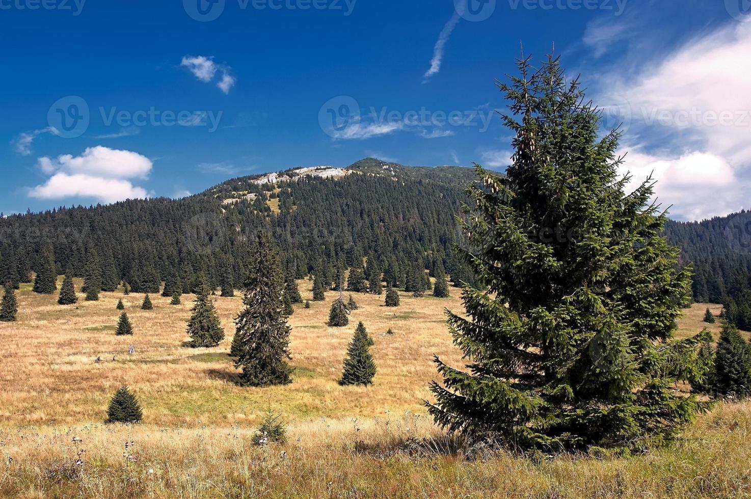 Blick auf die slowakischen Berge foto