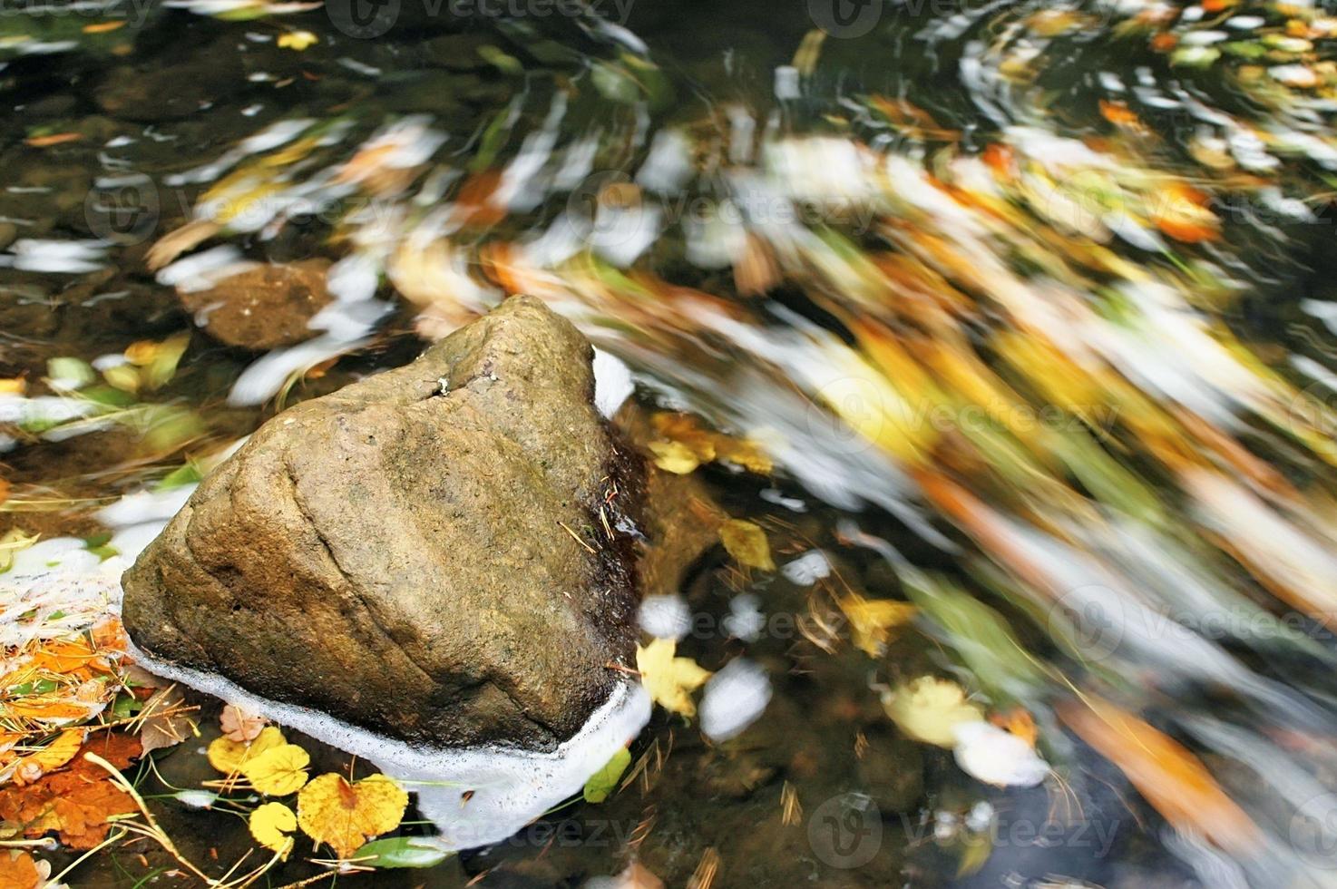 Stein im Wasser foto