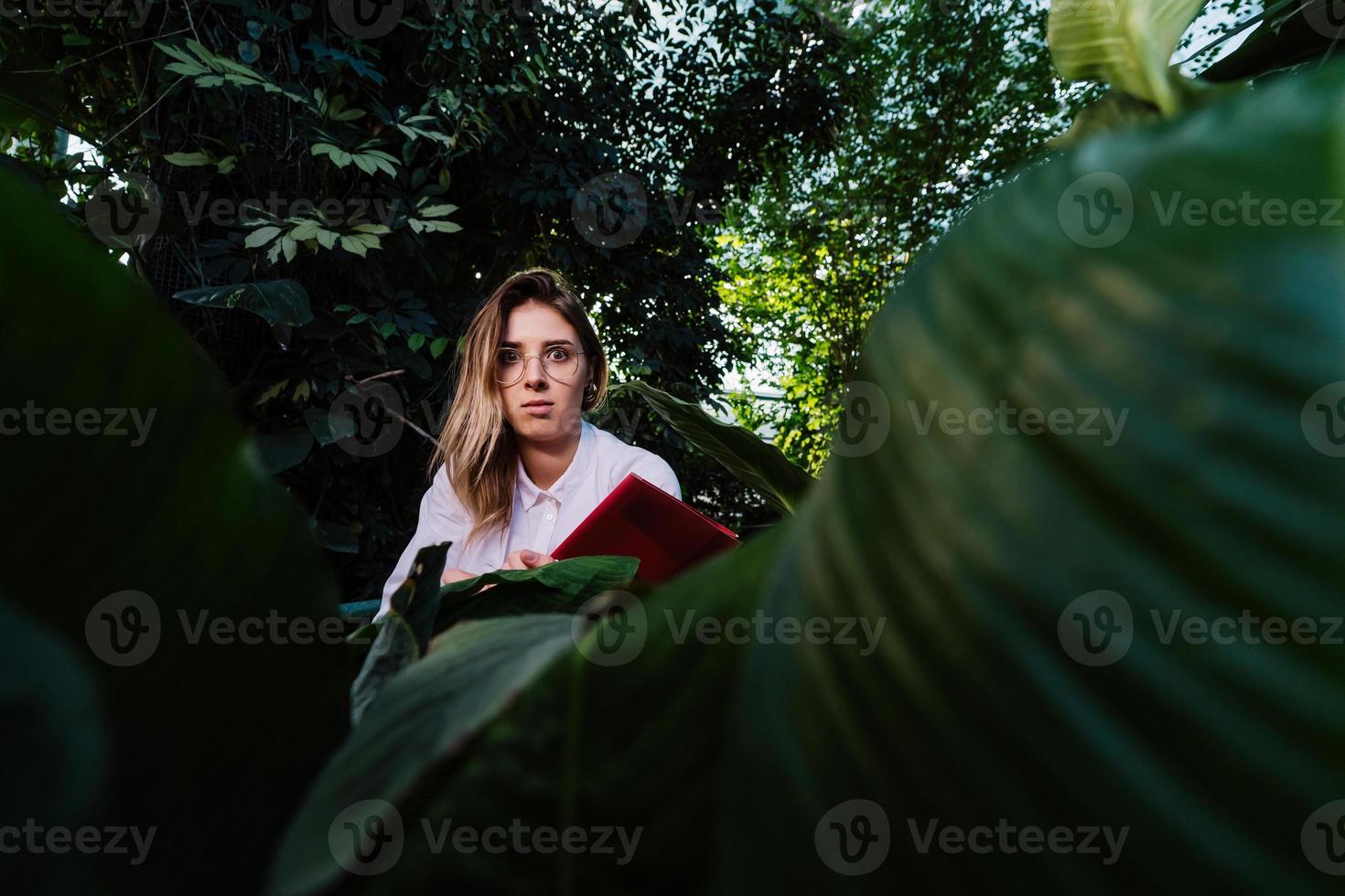 Junger Agraringenieur untersucht Blätter im Gewächshaus foto