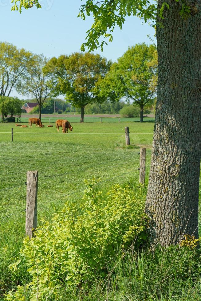 das dorf weseke foto