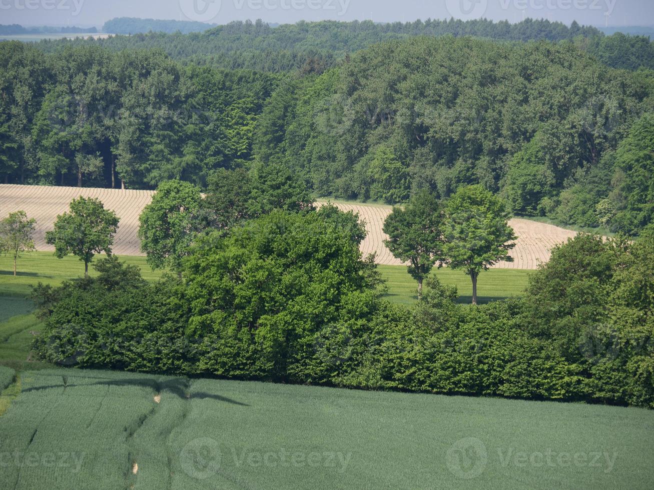 die deutschen baumberge bei billerbeck foto