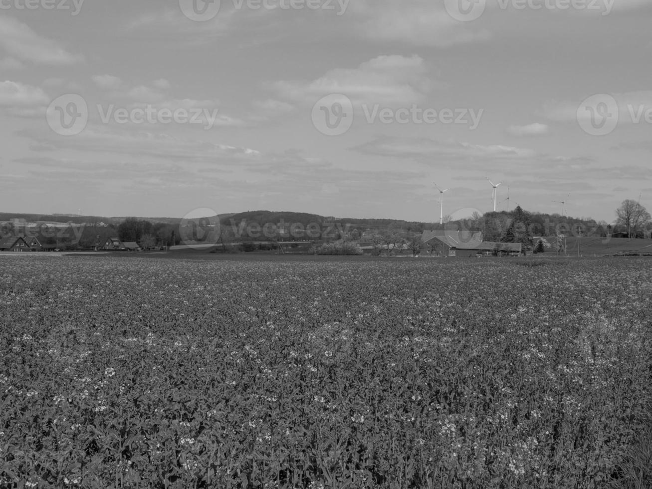 Frühlingszeit in Westfalen foto