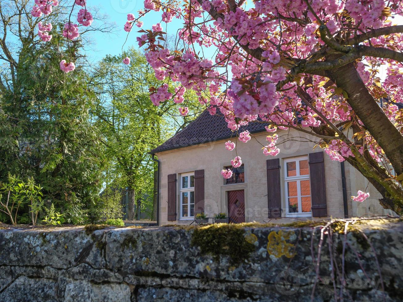 Billerbeck in Westfalen foto