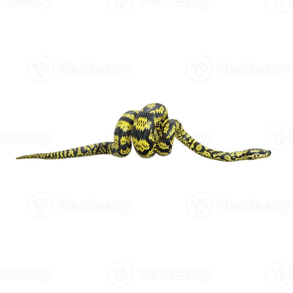 zebra dschungelteppich python 3d illustration. foto