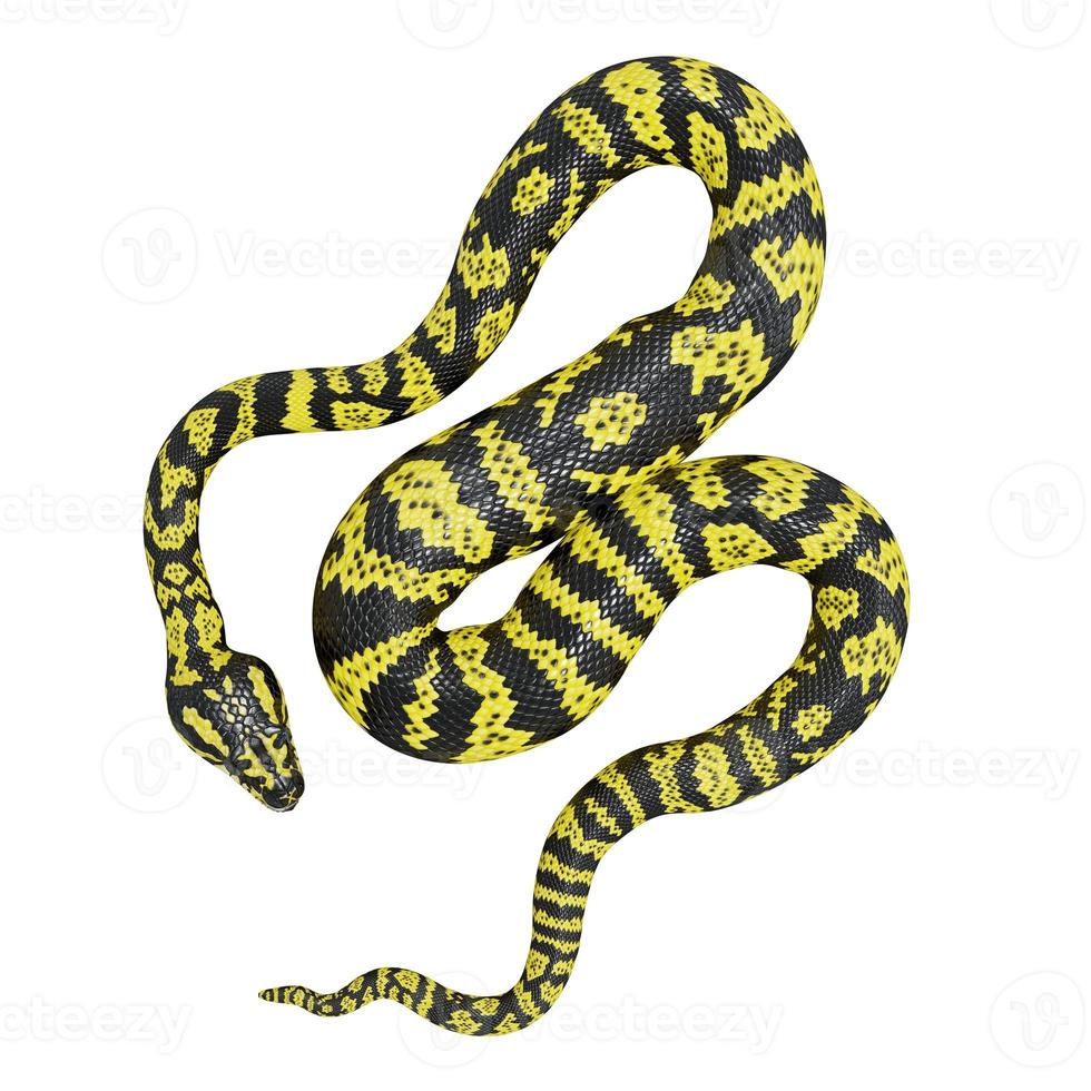 zebra dschungelteppich python 3d illustration. foto