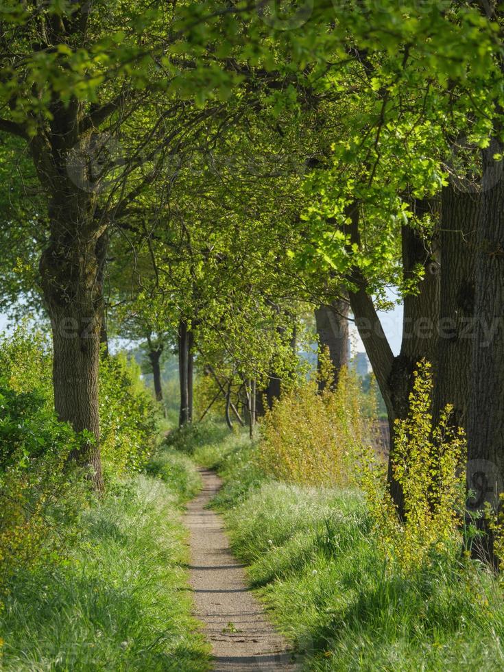 Sommerzeit in Westfalen foto