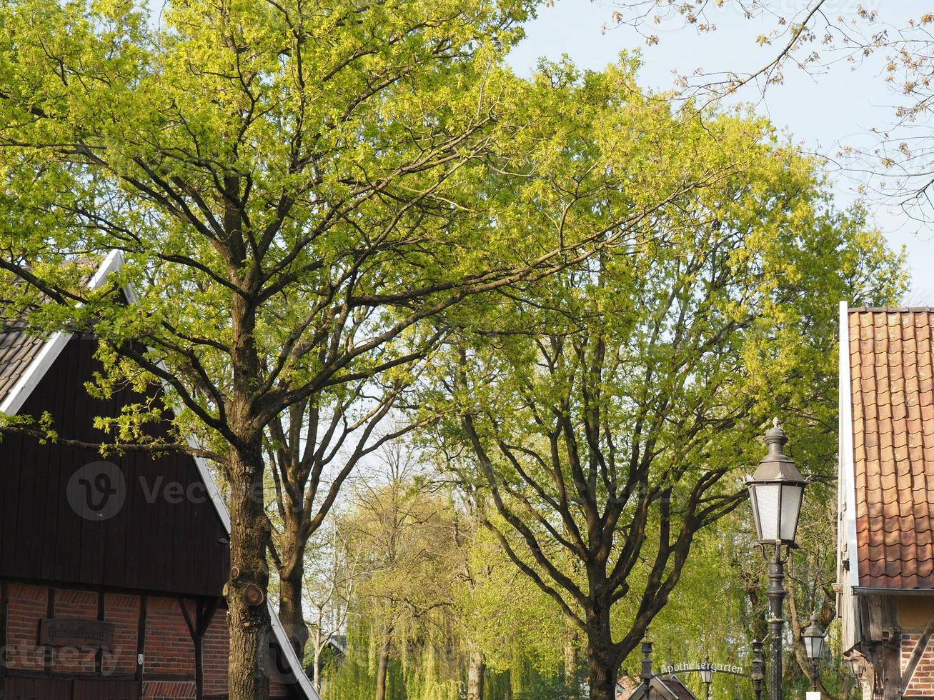 frühlingszeit im deutschen dorf weseke foto